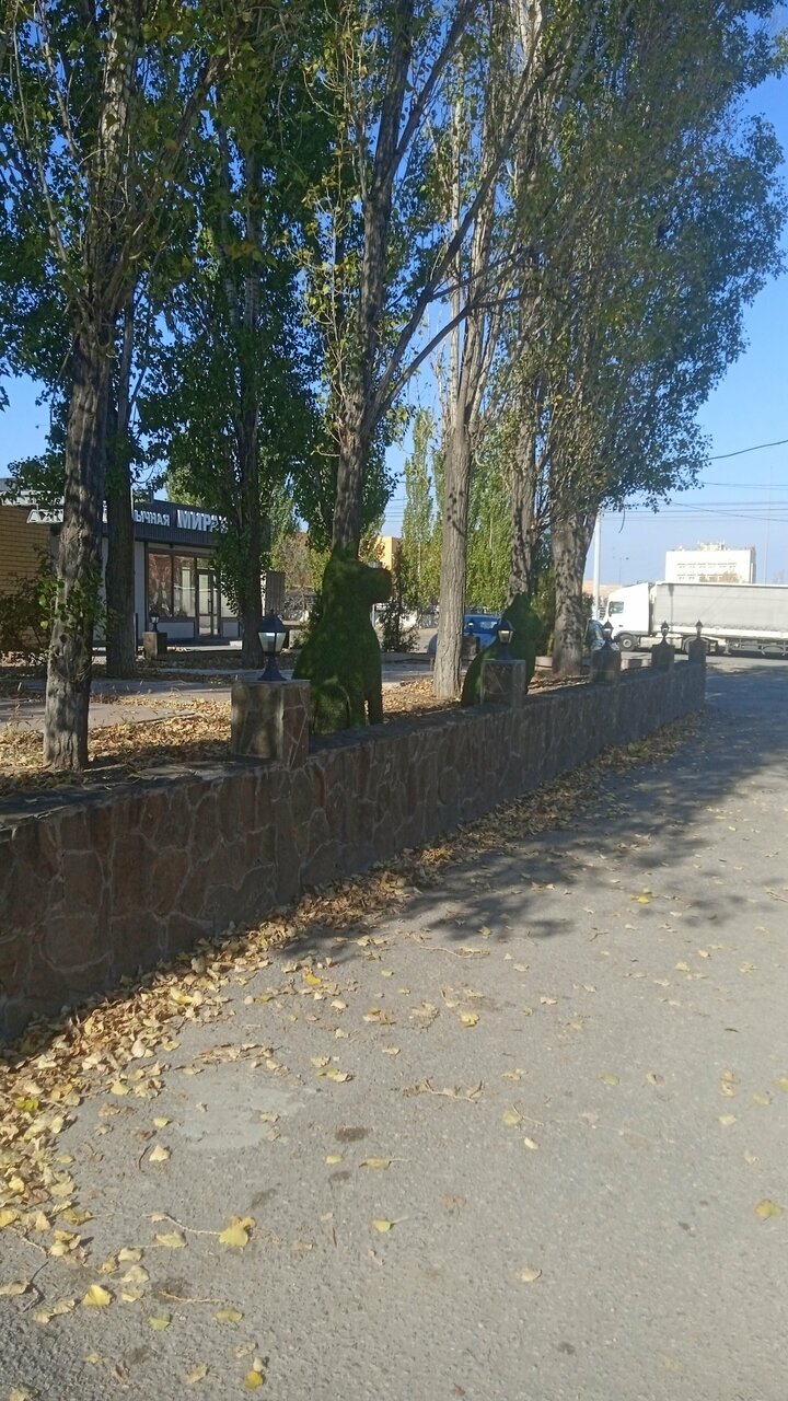 Фото клиники 33970