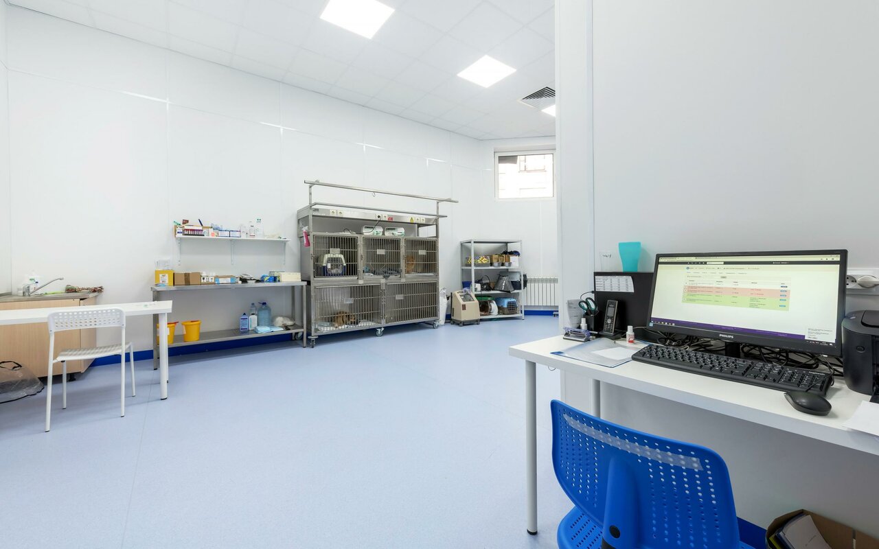 more clinic photos 83084