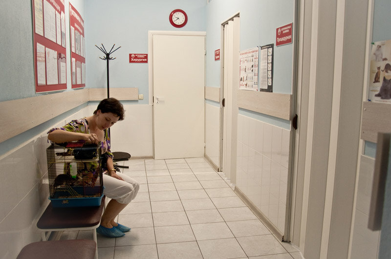 more clinic photos 4281