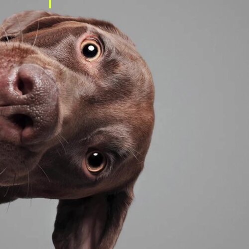 clinic general image