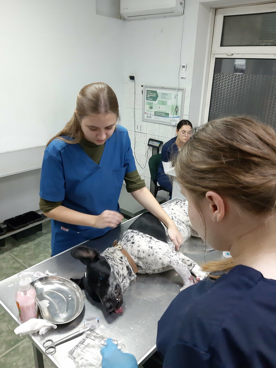 more clinic photos 5830