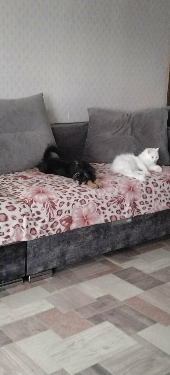 more clinic photos 17341