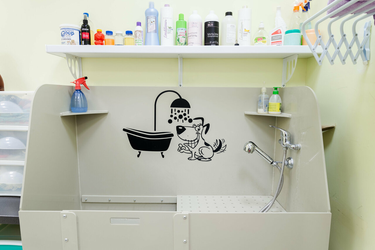 Салон груминга Тефи