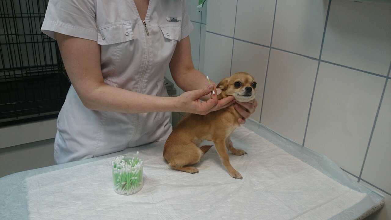 clinic general image