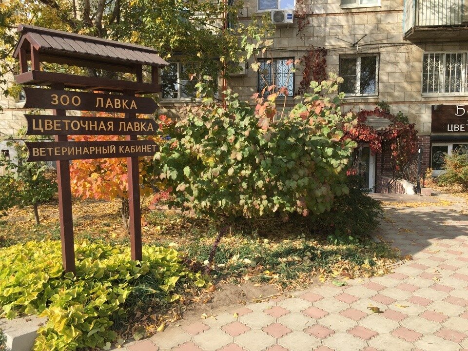 Фото клиники 8412