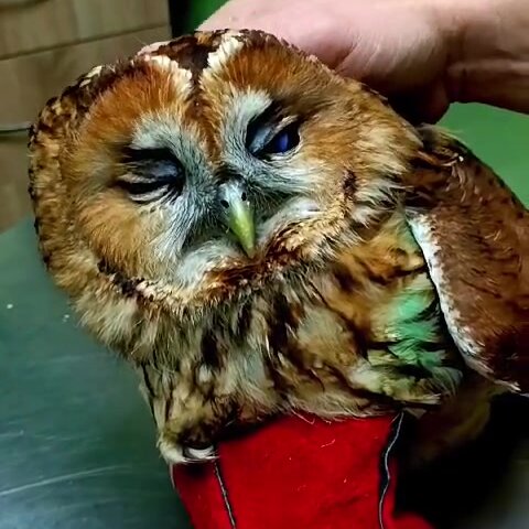 clinic general image