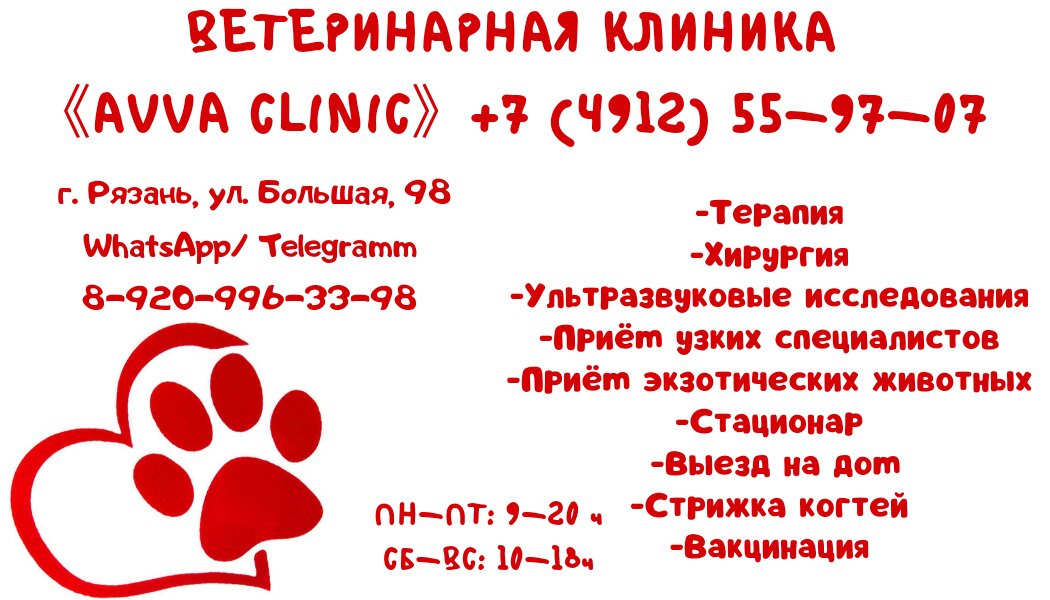 Главное фото клиники