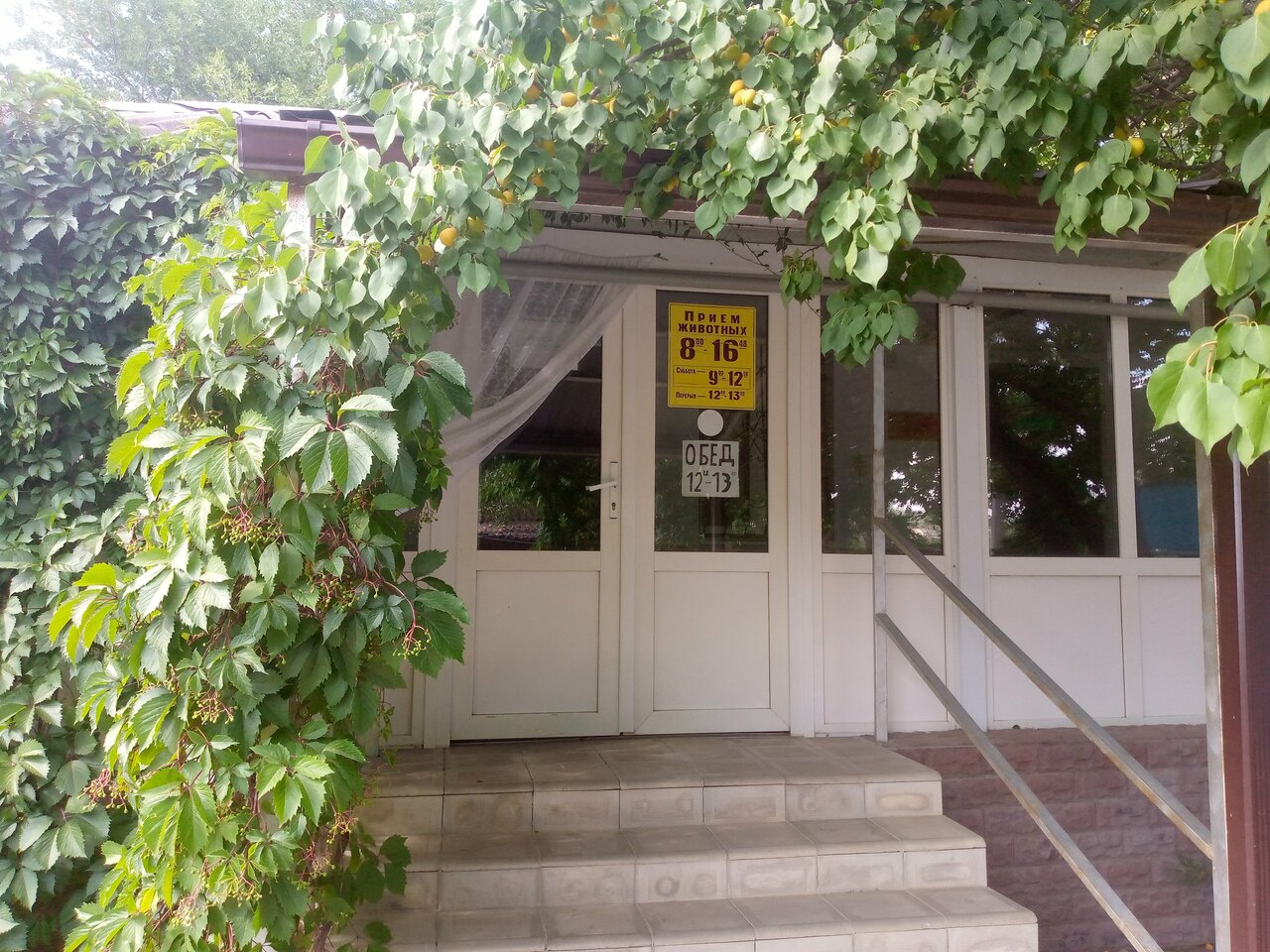 clinic general image