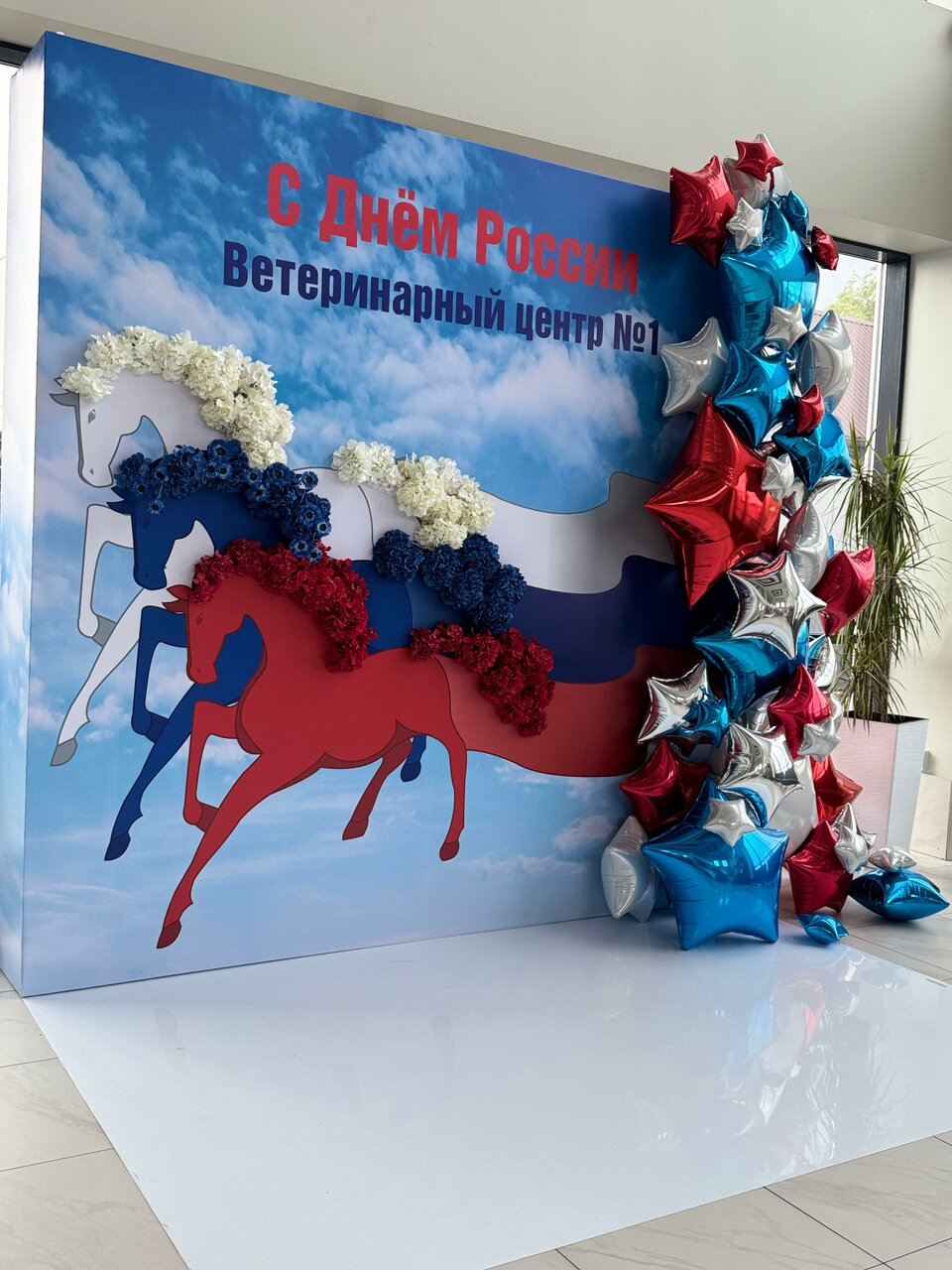 more clinic photos 64338