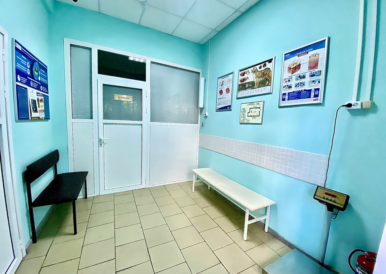 Фото «Ветклиника»