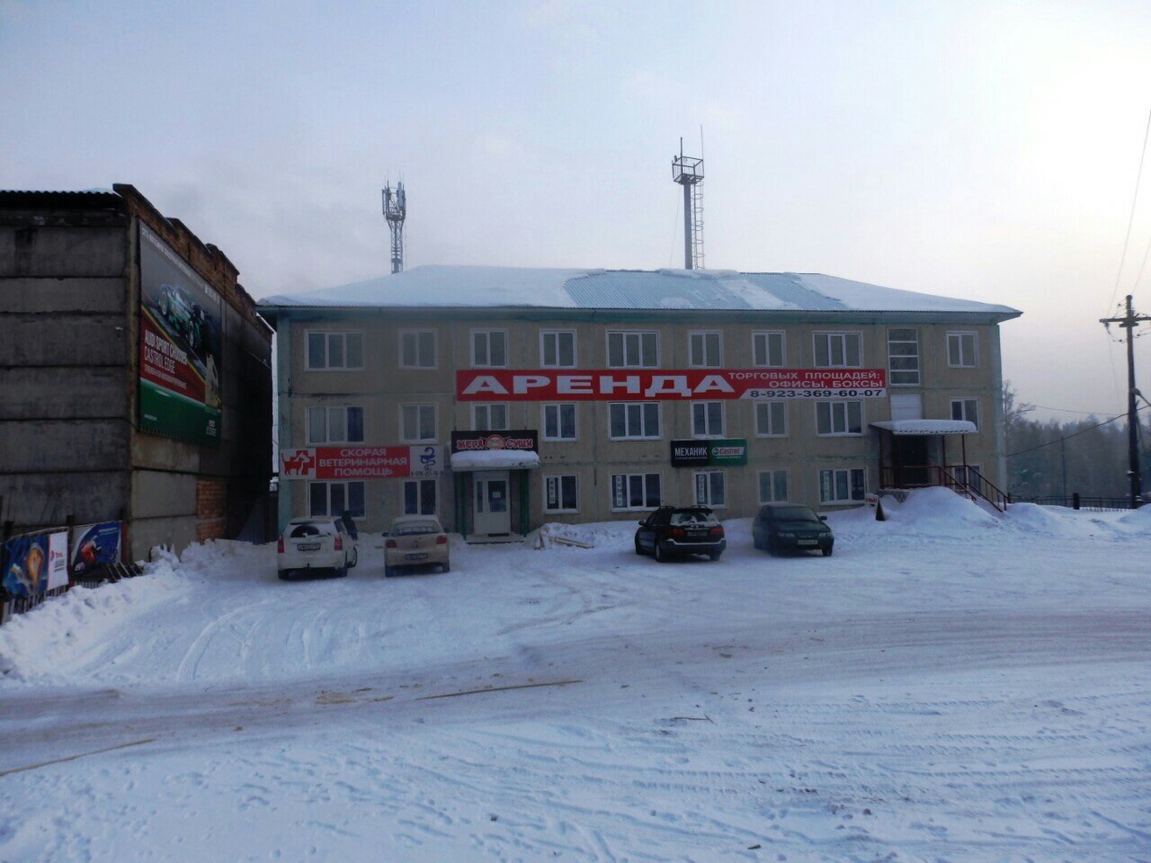 Скорая ветеринарная помощь Лесосибирска