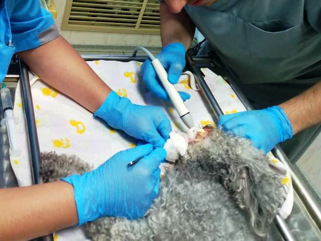 clinic general image