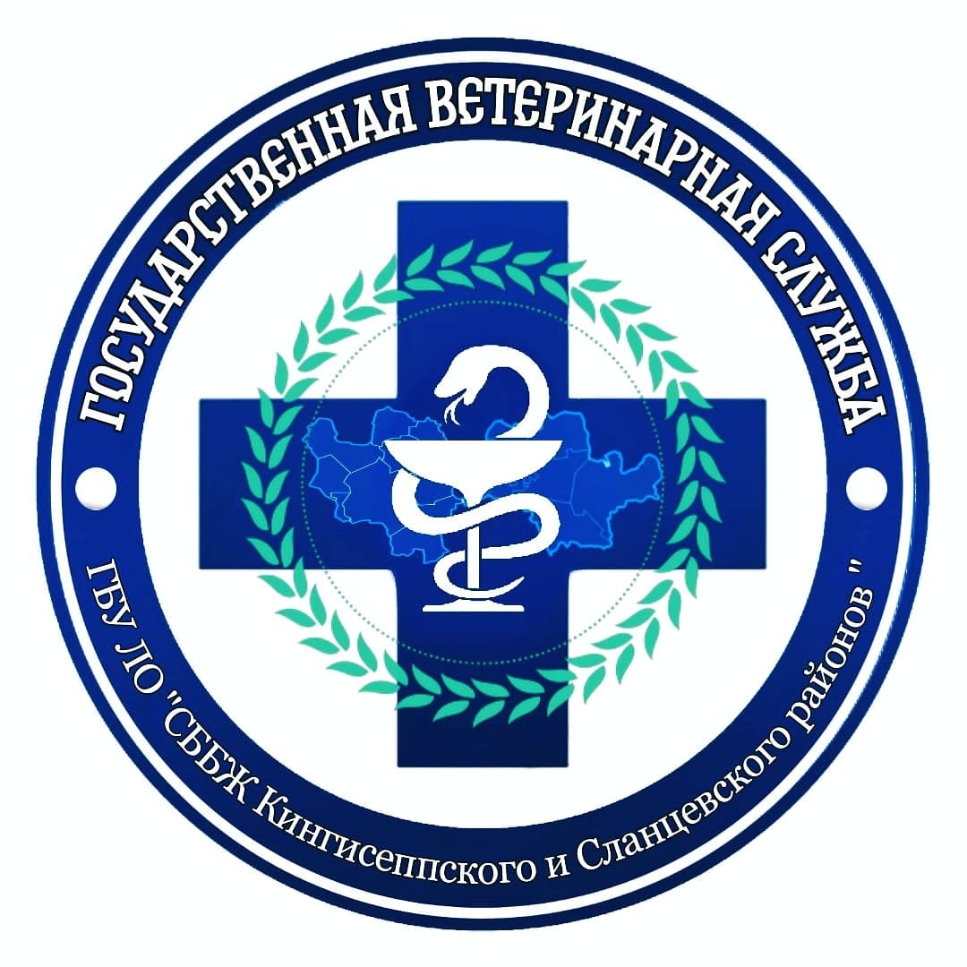 clinic logo