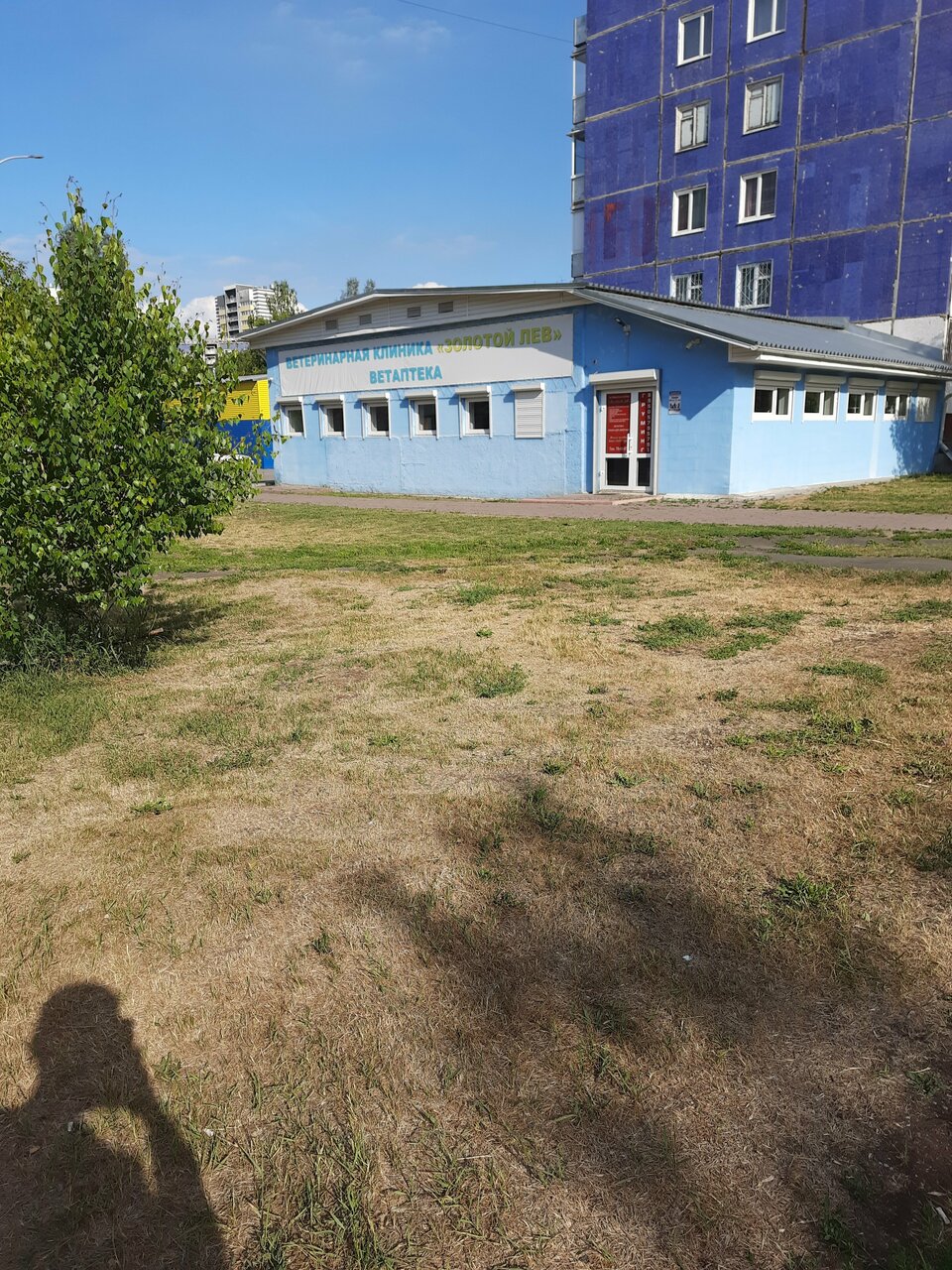 Фото клиники 68246