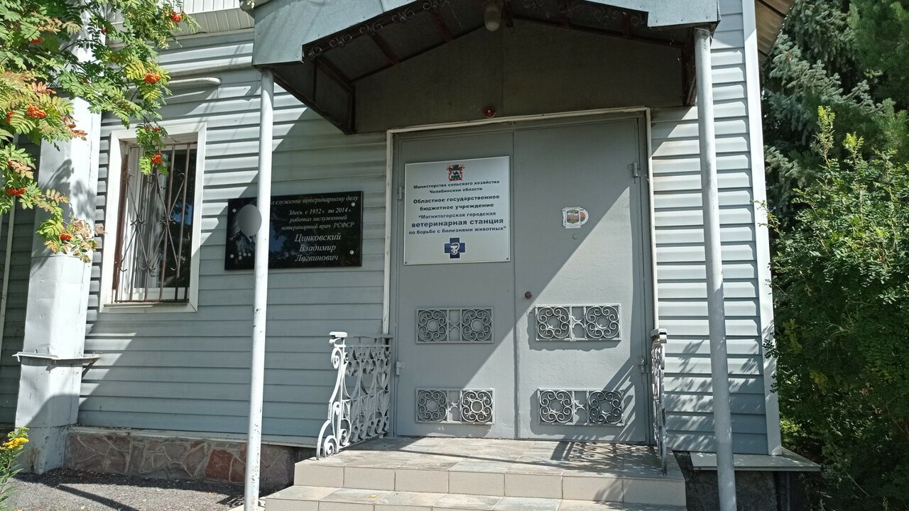 Магнитогорская городская ветеринарная станция по борьбе с болезнями животных