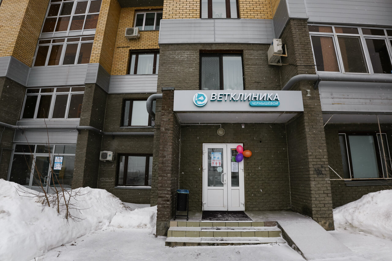 Фото «Ветклиника Чернышевой»