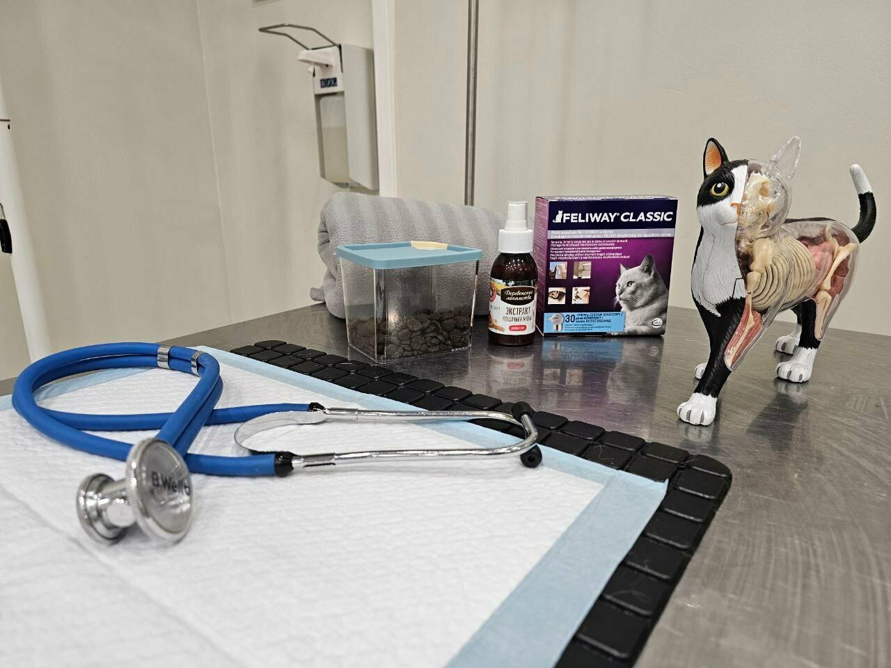 more clinic photos 23480