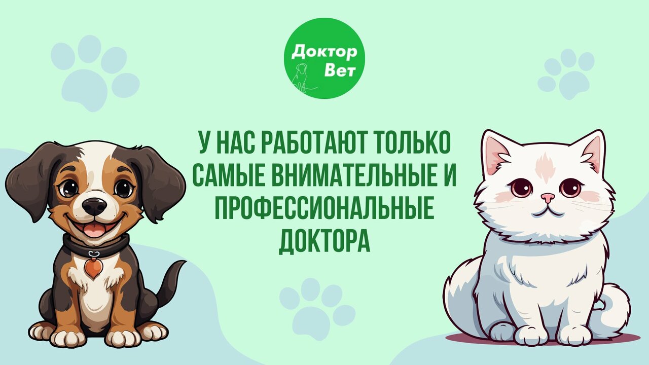 Доктор Вет