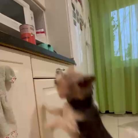 clinic general image