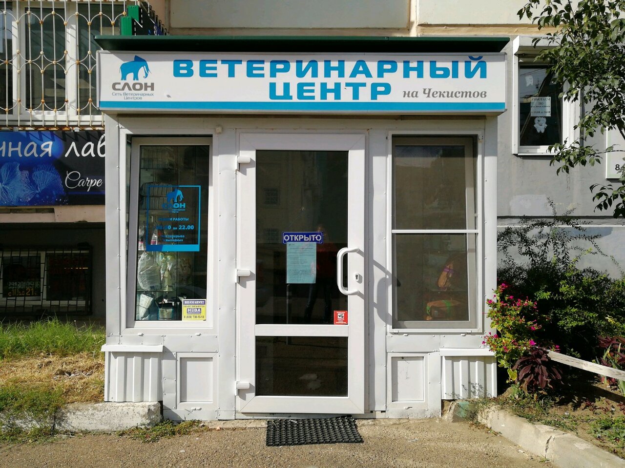 Фото клиники Слон на пр. Чекистов
