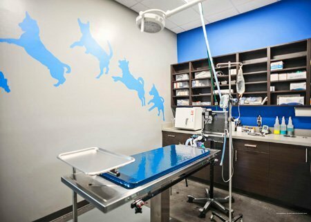 more clinic photos 363