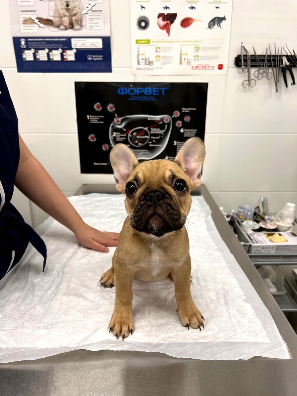 more clinic photos 29024