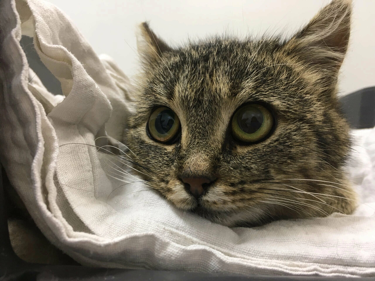 clinic general image