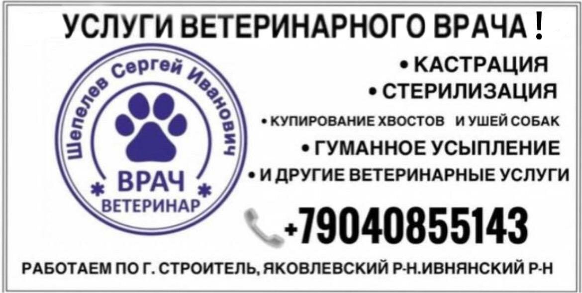 Фото клиники Ветеринарная станция