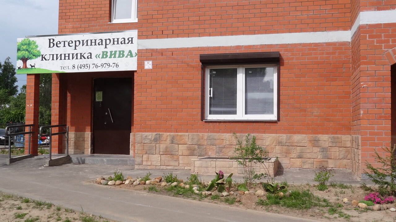 Фото клиники 36115