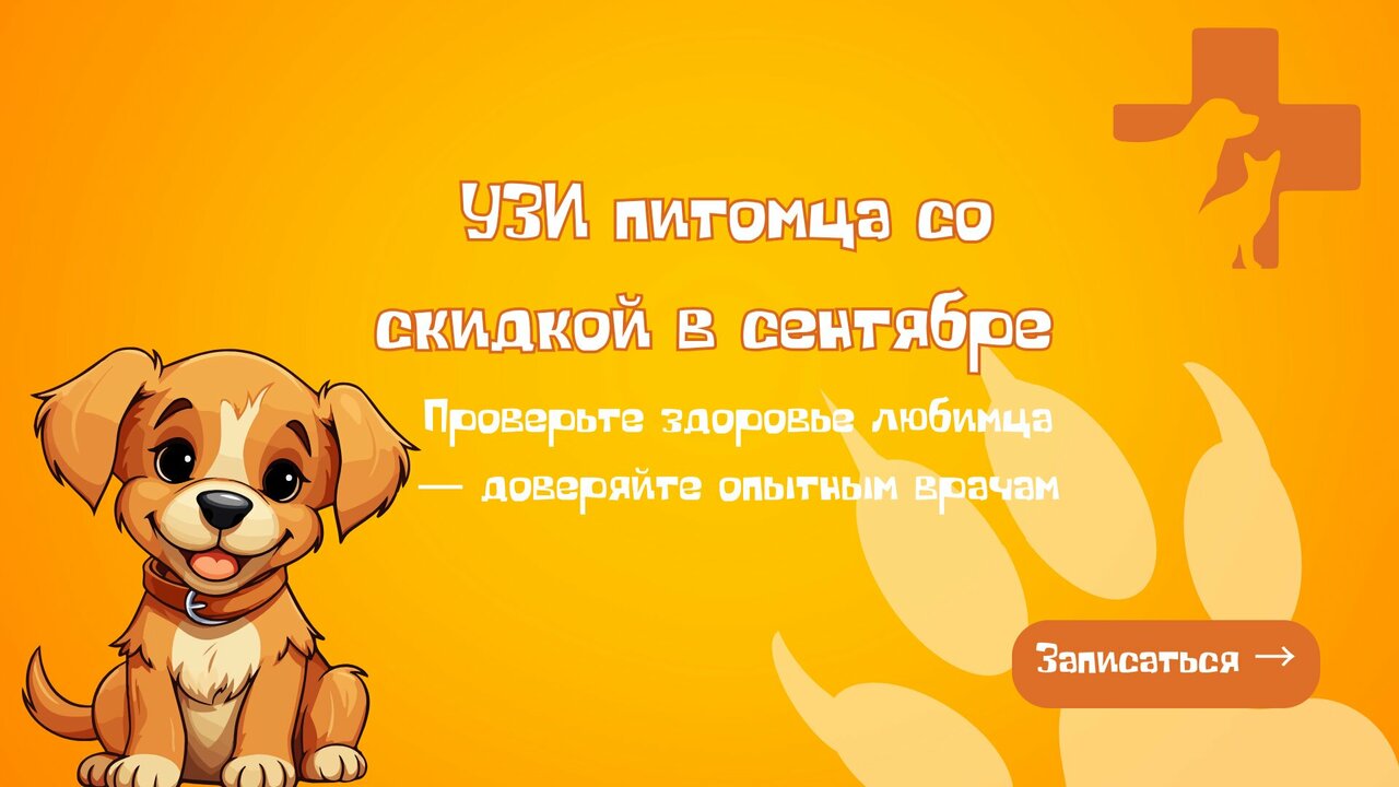 Фото клиники 11339