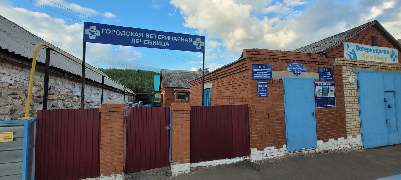 Белебеевская городская ветеринарная лечебница