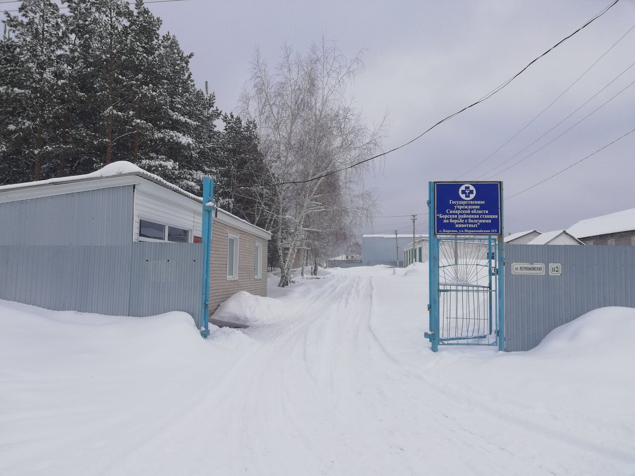 Фото клиники ГБУ Со Самарское ветеринарное объединение Борское СББЖ
