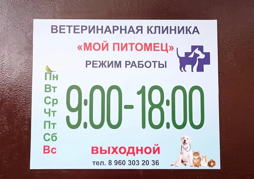 Мой питомец