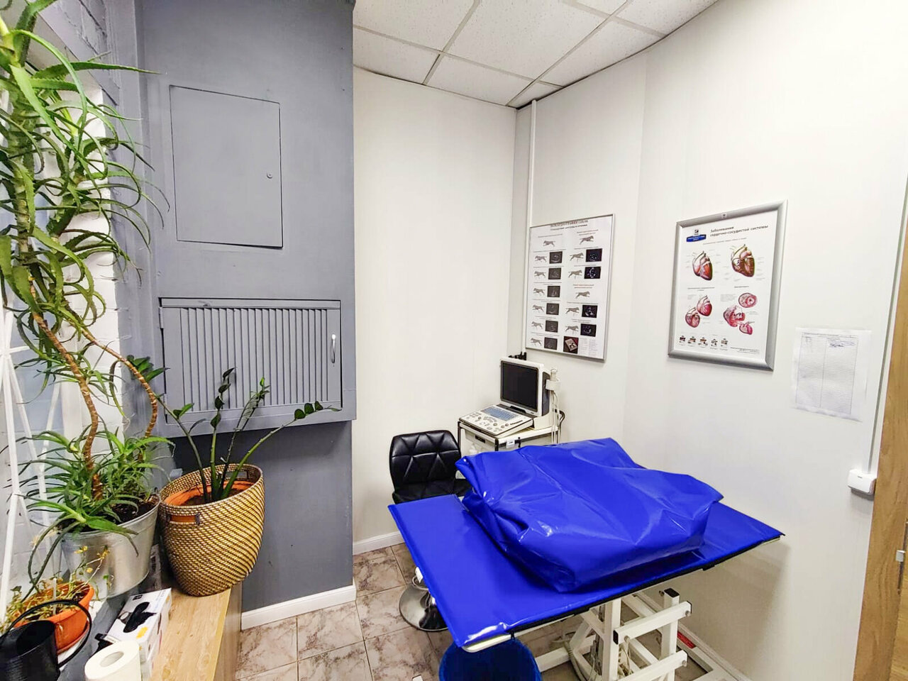 more clinic photos 65050