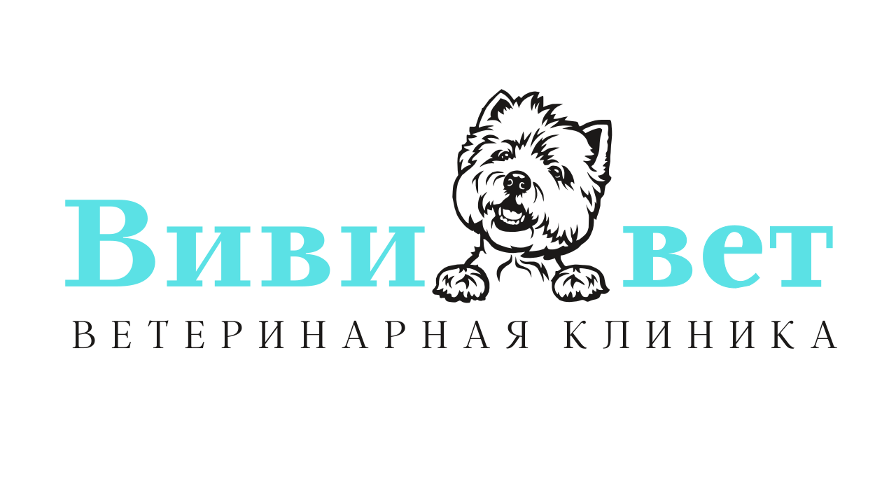 Логотип клиники