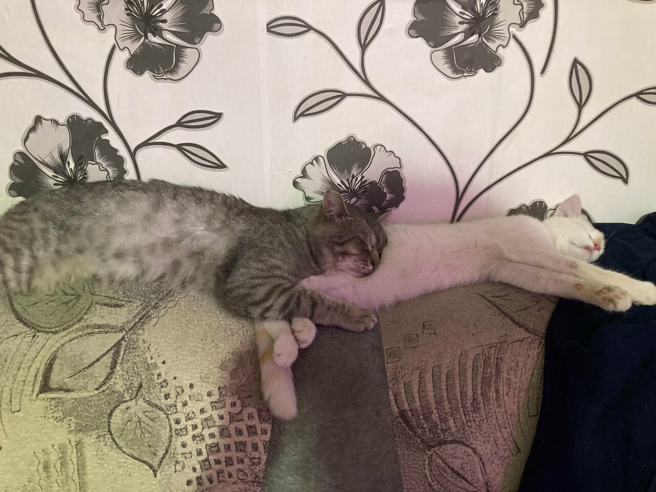 clinic general image