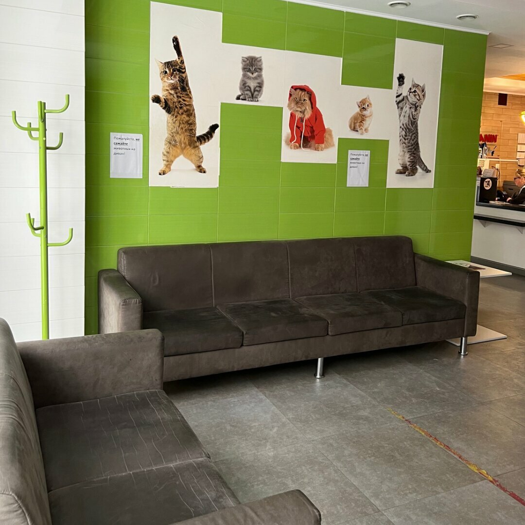 more clinic photos 25260