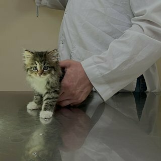 more clinic photos 29800