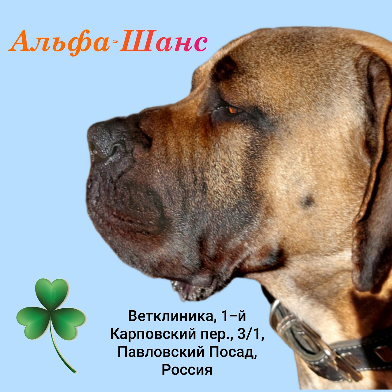 clinic general image