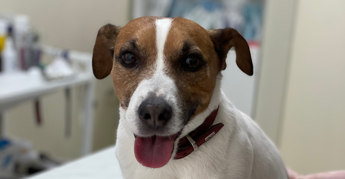 clinic general image