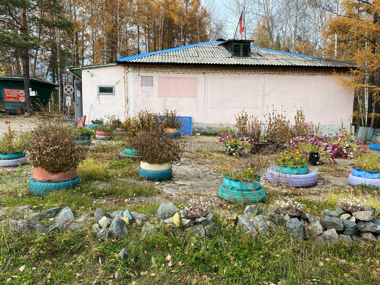 Районная станция по борьбе с болезнями животных по Тындинскому и Сковородинскому Районам