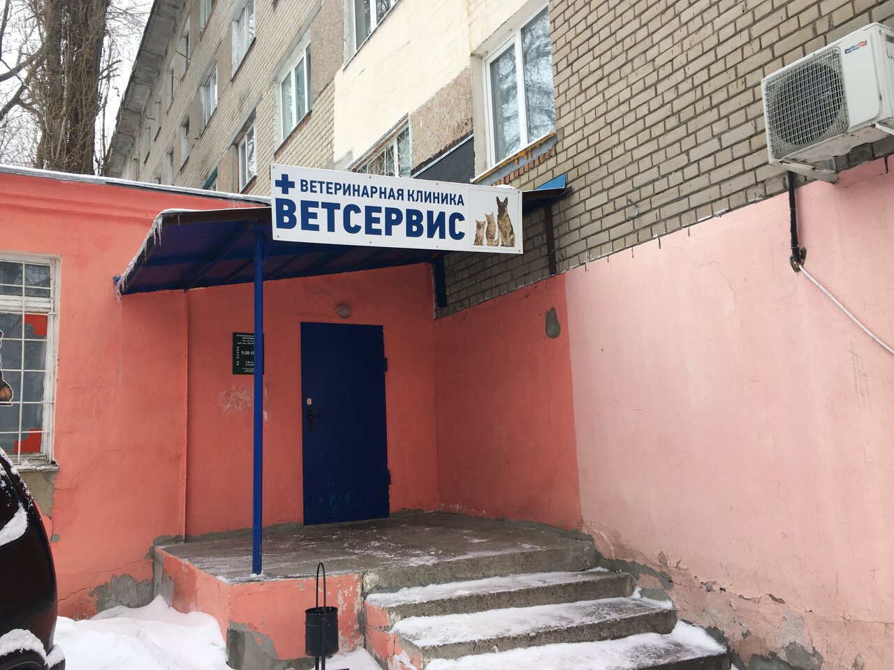 Фото «Ветсервис»