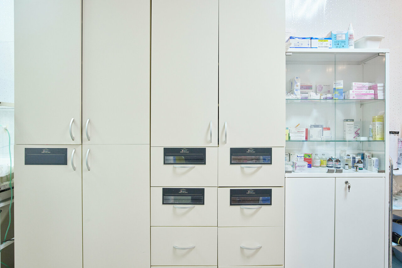 more clinic photos 66367