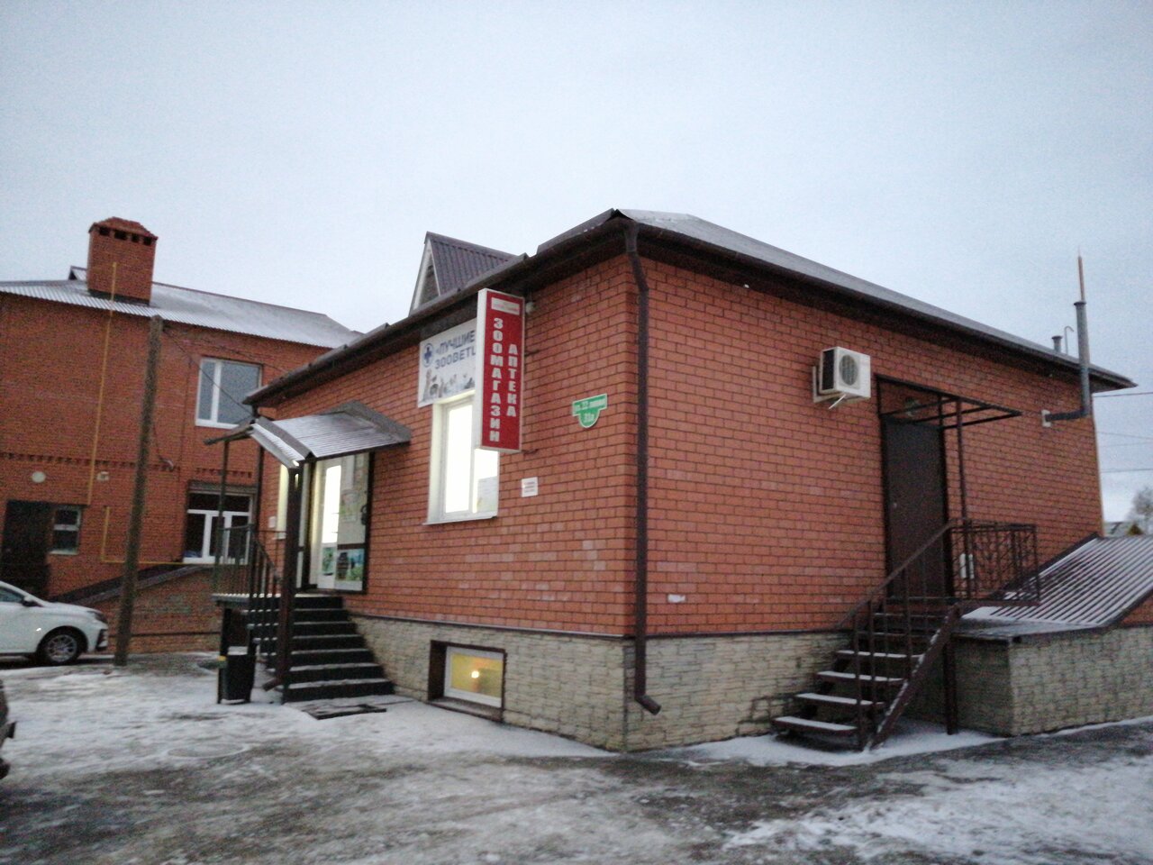 Лучшие друзья