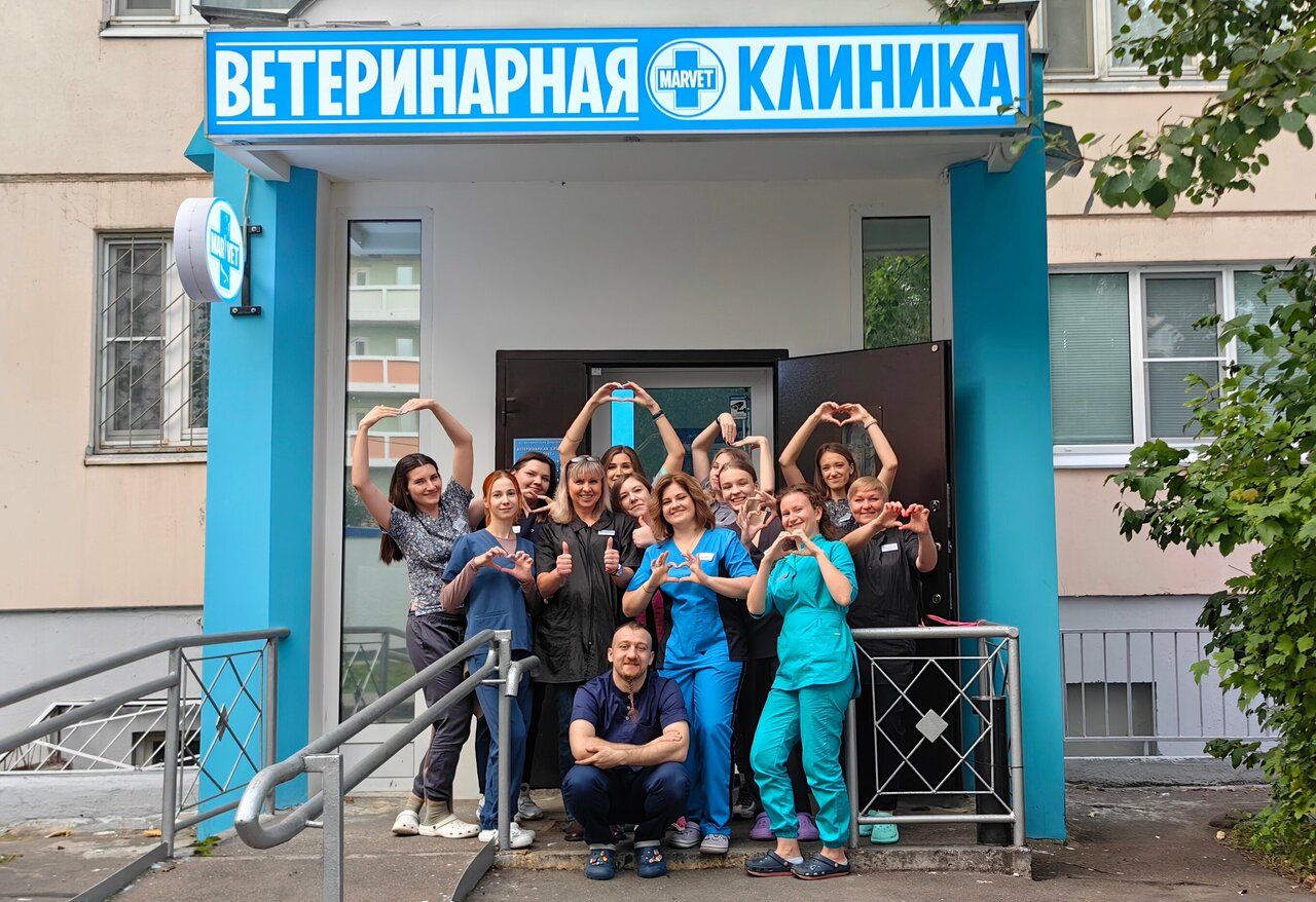 Фото клиники 66974
