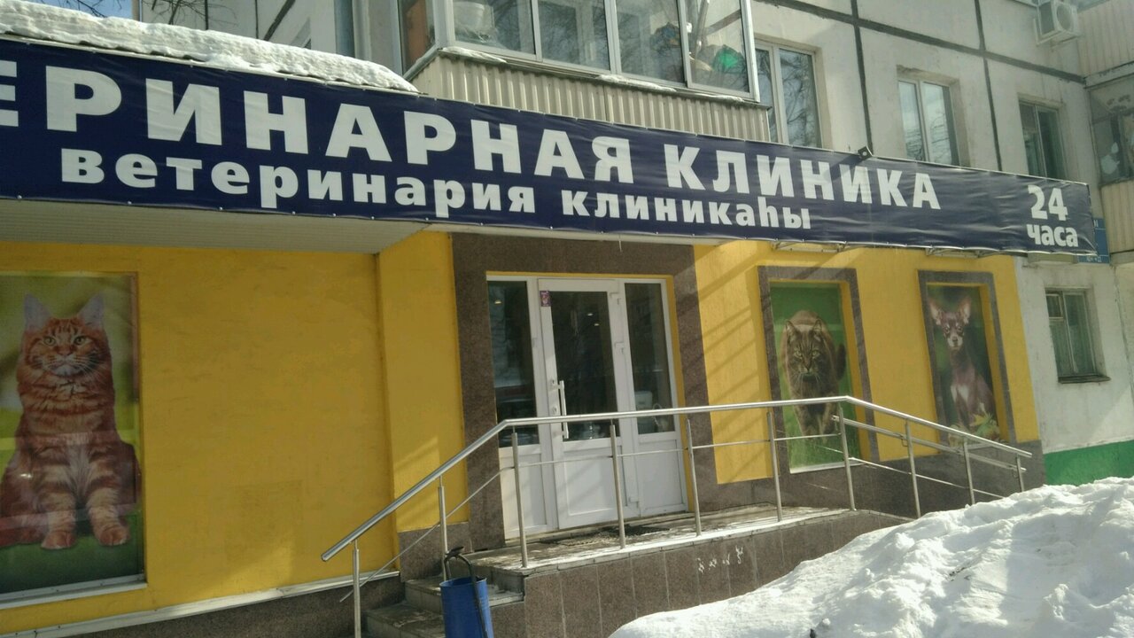 Фото клиники 69635