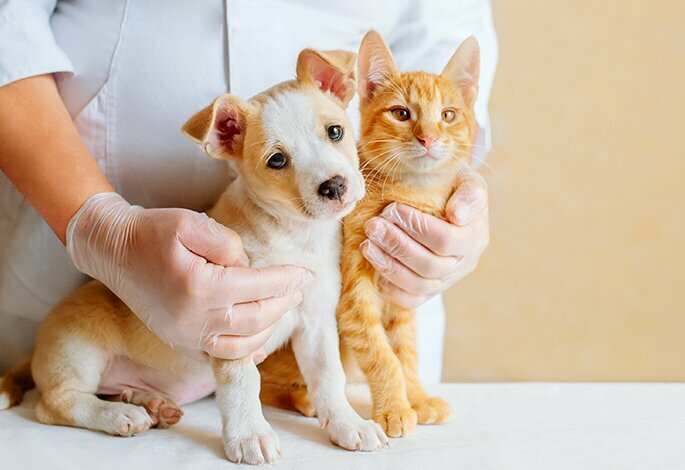 clinic general image