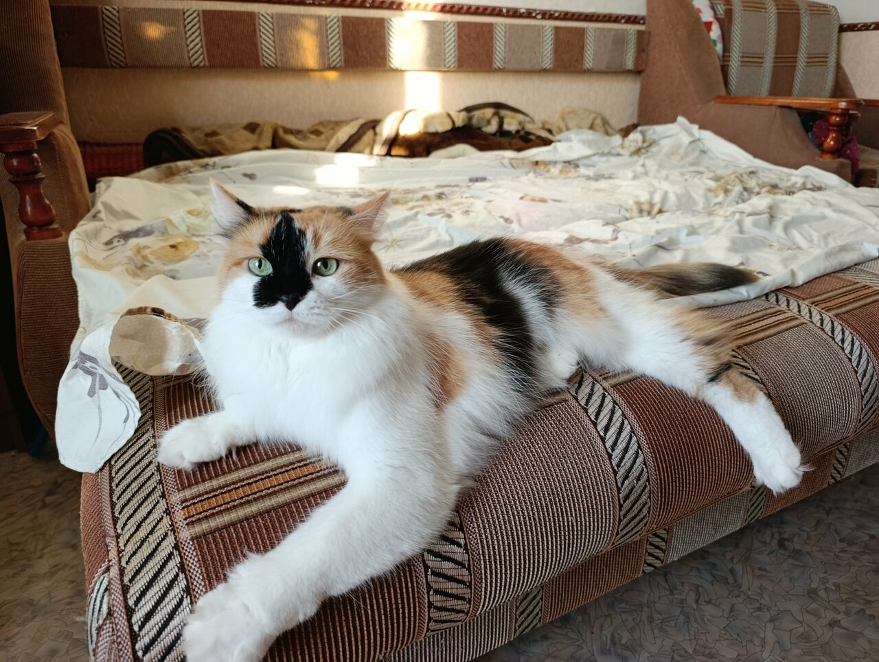 Фото клиники 71650