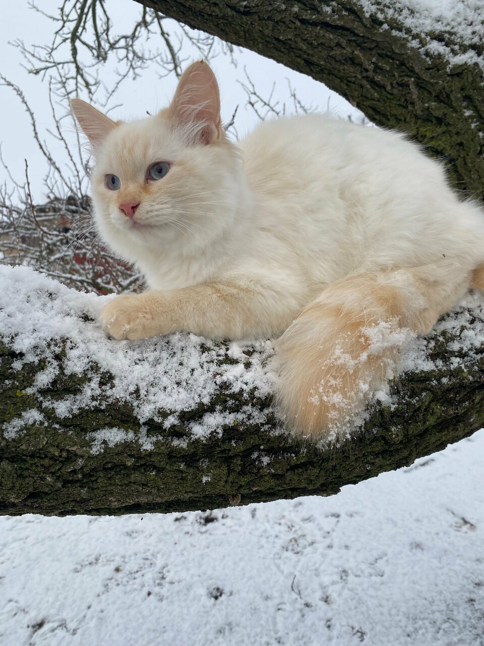 more clinic photos 37632