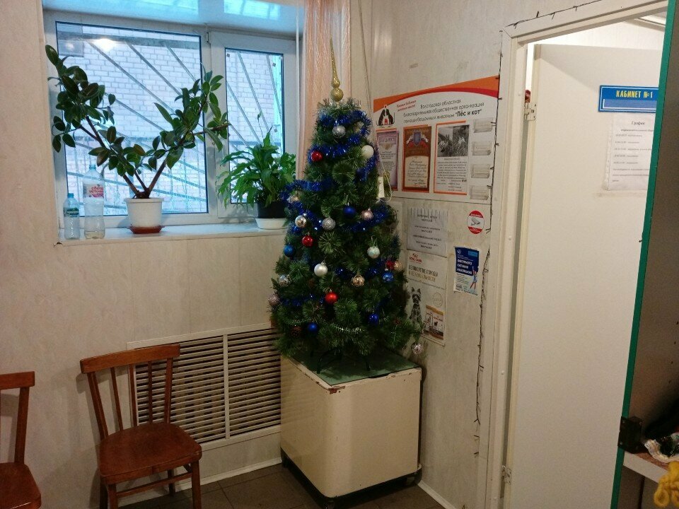 Фото клиники 60618